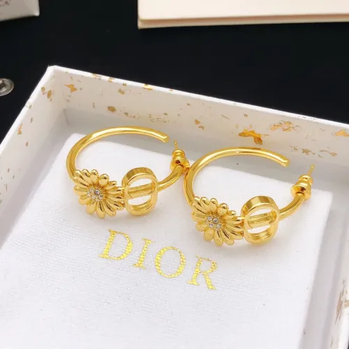 Christian Dior Earrings For Women #1460444