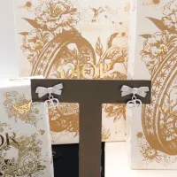 $25.00 USD Christian Dior Earrings For Women #1459706