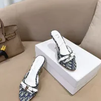 $102.00 USD Christian Dior Slippers For Women #1462251