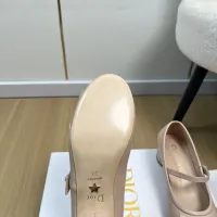 $115.00 USD Christian Dior High-Heeled Shoes For Women #1462260