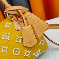 $80.00 USD Louis Vuitton AAA Quality Handbags For Women #1463305